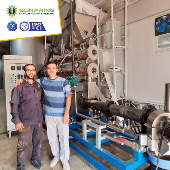 PRO Сухая влажная собака Домашнее животное Кошка Животное Курица Плавающая тонущая рыбная еда Машина для производства пеллет Машина для производства мельниц Экструдер Оборудование Производственная линия по переработке гранулятора